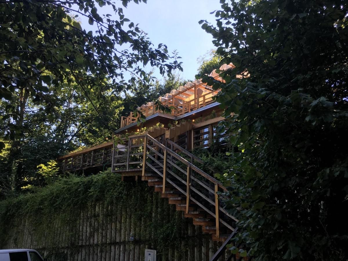 Отели типа «постель и завтрак» Skay Loft Брашов-4
